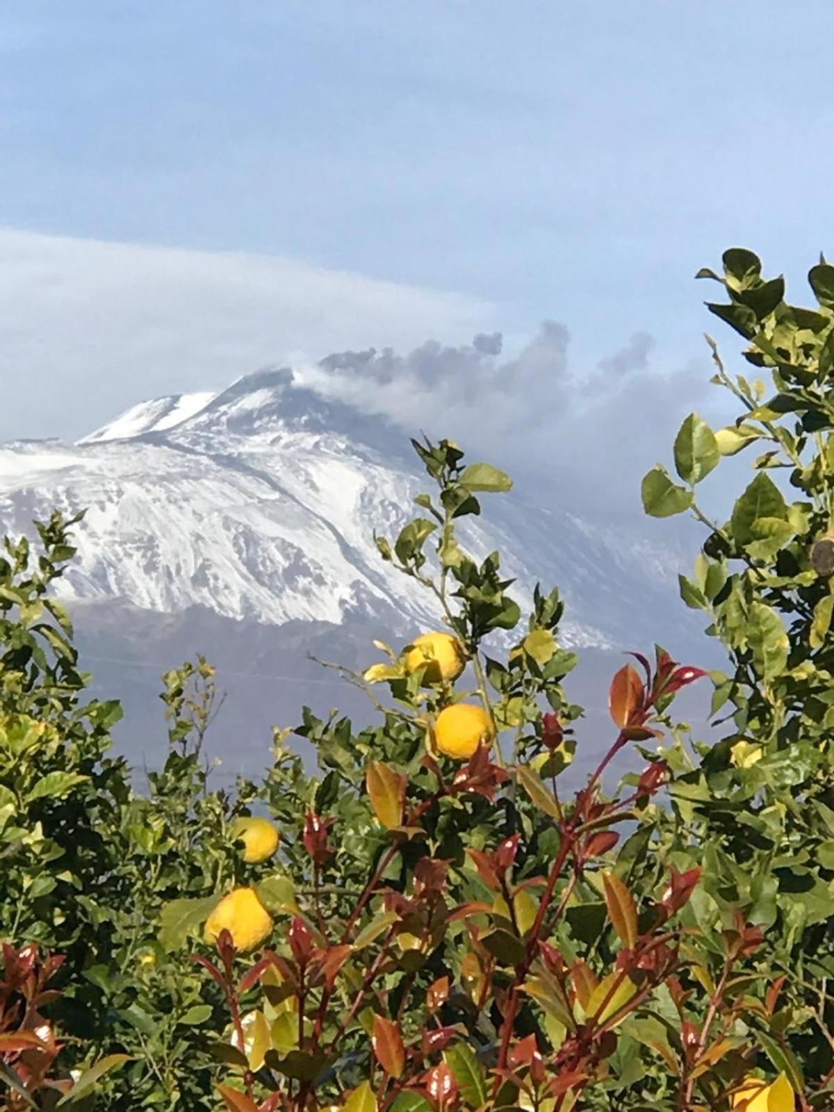 Vista Mare Etna Lejlighed Acireale Eksteriør billede